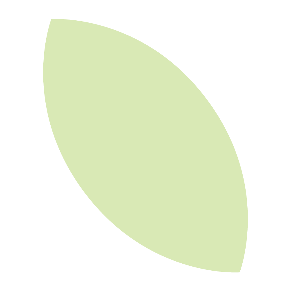 Mini-Leaf-1